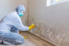 Mold Odor Removal Services in Stroudsburg, PA